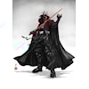Star Wars Vision Samurai Dark Lord
